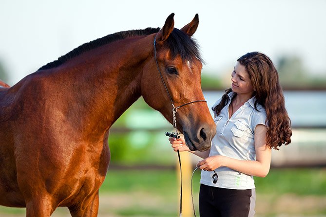 Horse Farm Tours | 3429 Montavesta Rd, Lexington, KY 40502, USA | Phone: (859) 268-2906