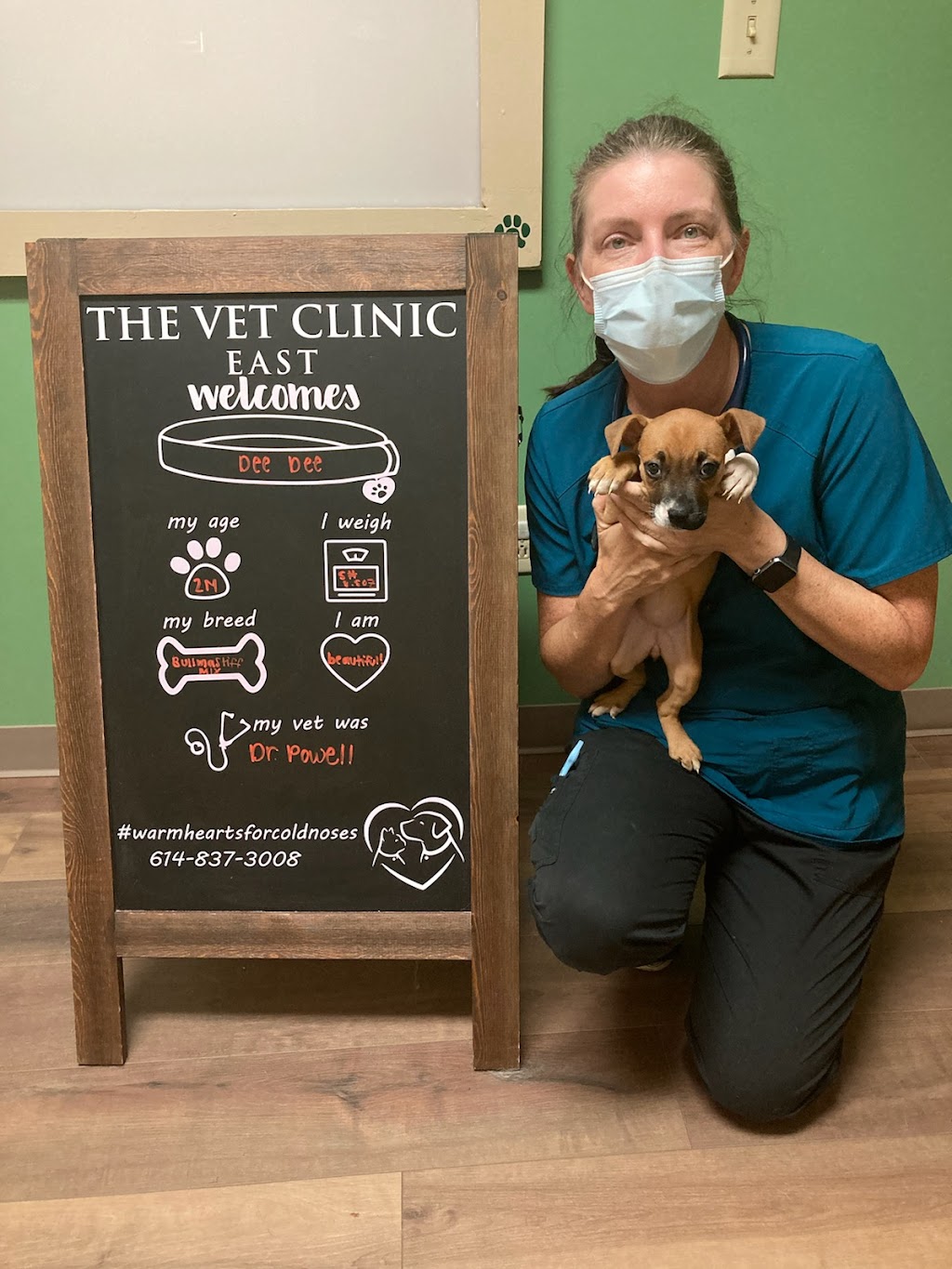 The Vet Clinic East | 5101 Chatterton Rd, Columbus, OH 43232, USA | Phone: (614) 837-3008