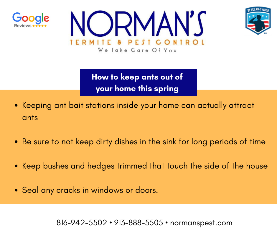 Normans Termite and Pest | 2124 Chateau Pl, Raymore, MO 64083, USA | Phone: (913) 888-5505