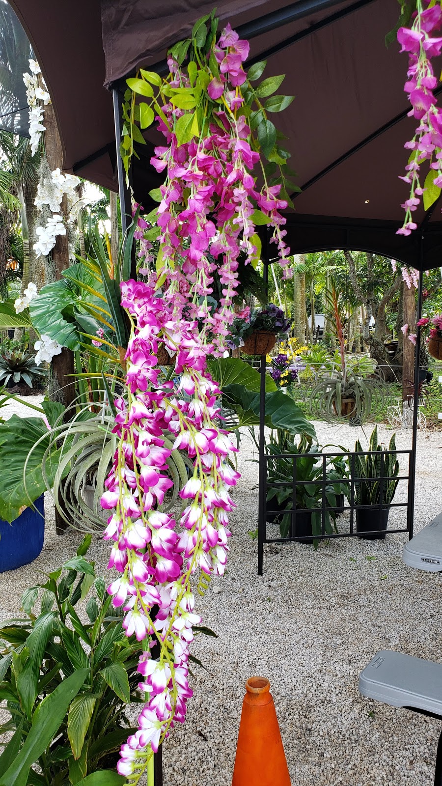 A Heavenly Garden (Orchids & Bromeliads) | 21950 SW 177th Ave, Miami, FL 33170, USA | Phone: (305) 247-7628