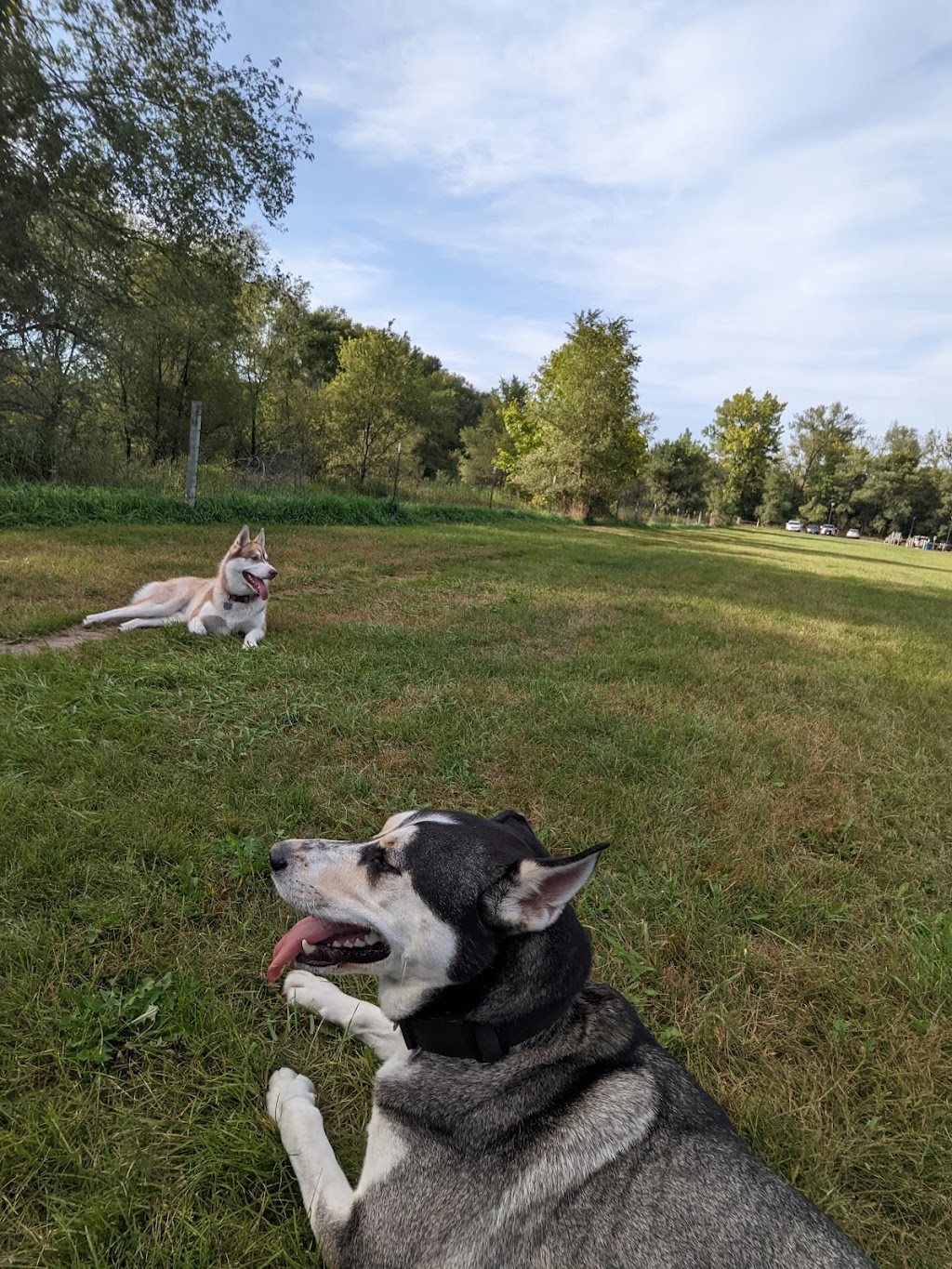 Dakota Woods Fee Dog Park | 16470 Blaine Ave, Rosemount, MN 55068, USA | Phone: (952) 891-7000