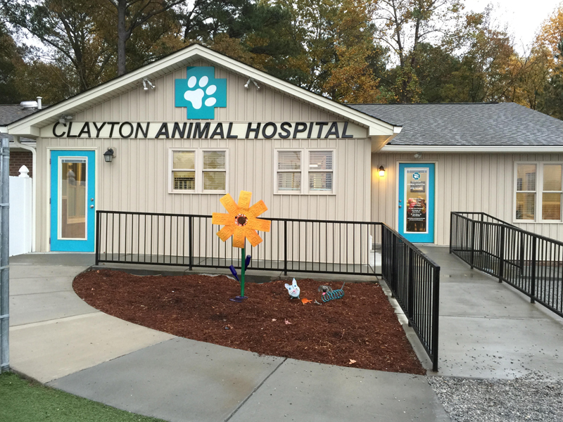 Clayton Animal Hospital | 11058 US-70 BUS, Clayton, NC 27520, USA | Phone: (919) 553-4601