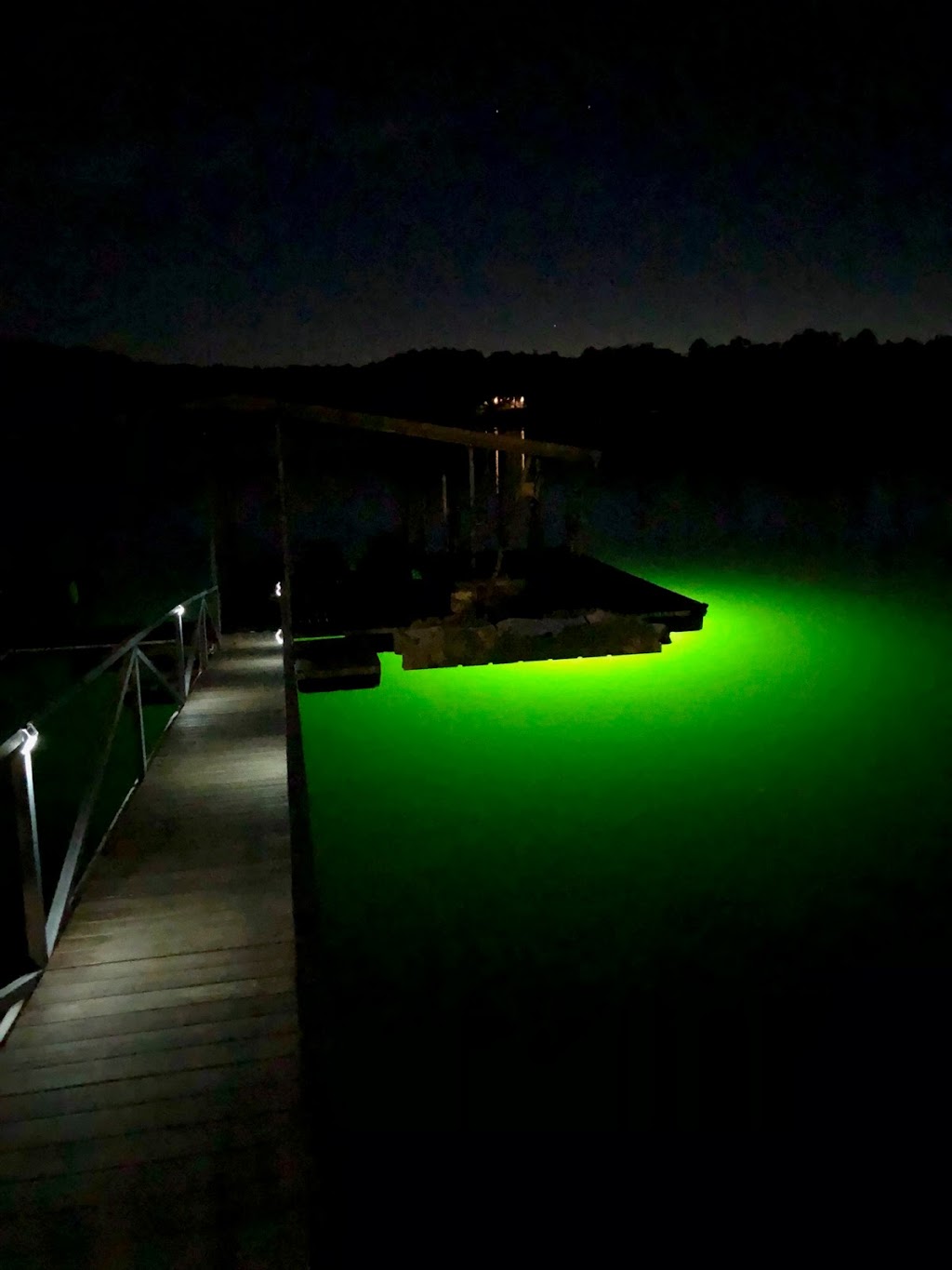 Green Monster Fishing Light, Inc | 164 Walker Ferry Rd, Alexander City, AL 35010, USA | Phone: (334) 332-0003