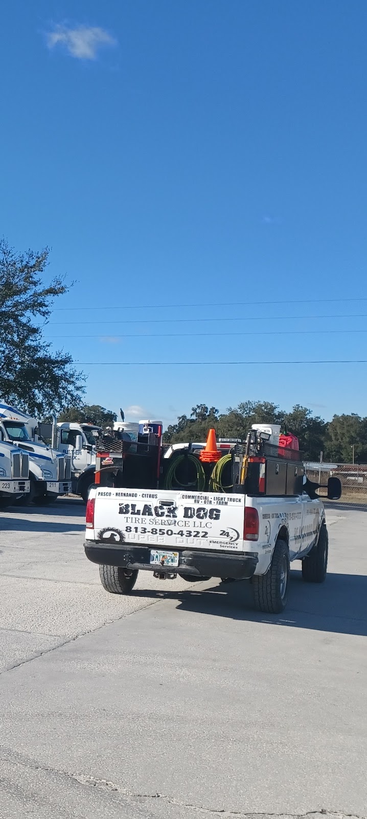 Black Dog Tire Service | 15129 US-19, Hudson, FL 34667, USA | Phone: (813) 850-4322
