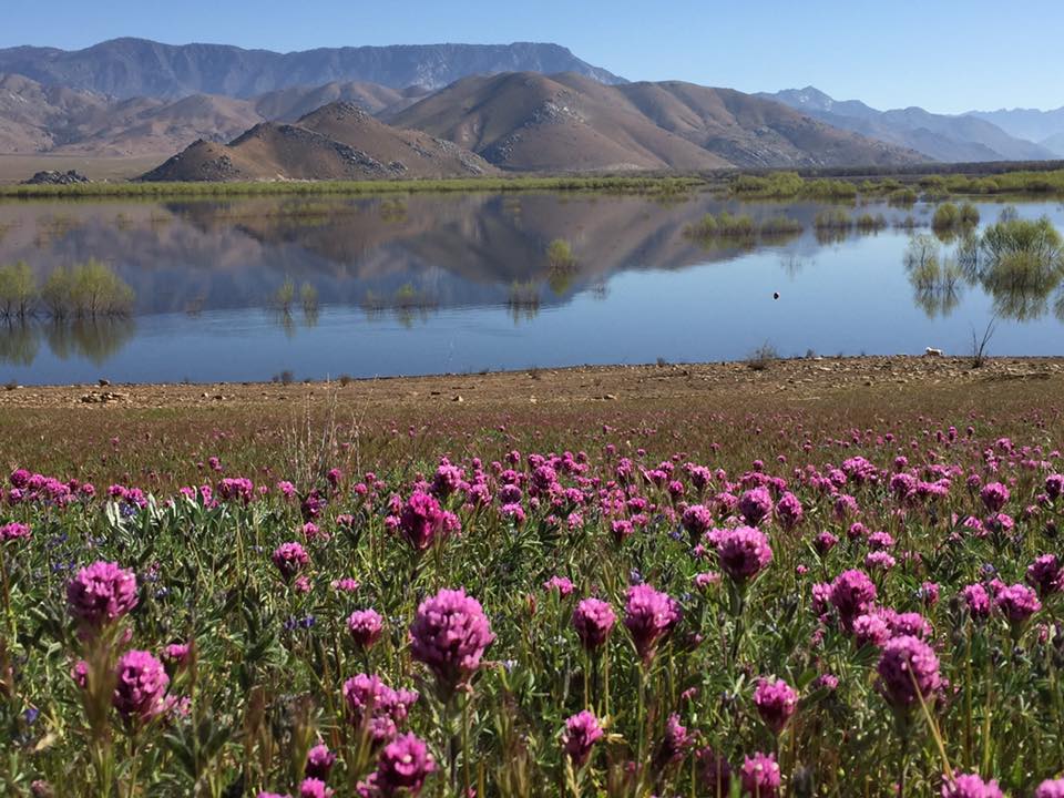 Paradise Cove Campground (Sequoia National Forest) | Lake Isabella, CA 93240, USA | Phone: (760) 376-1815