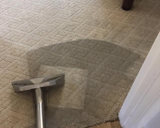 CJ Frank Carpet Cleaning San Diego | 531 Ann St, El Cajon, CA 92021, USA | Phone: (619) 885-1021