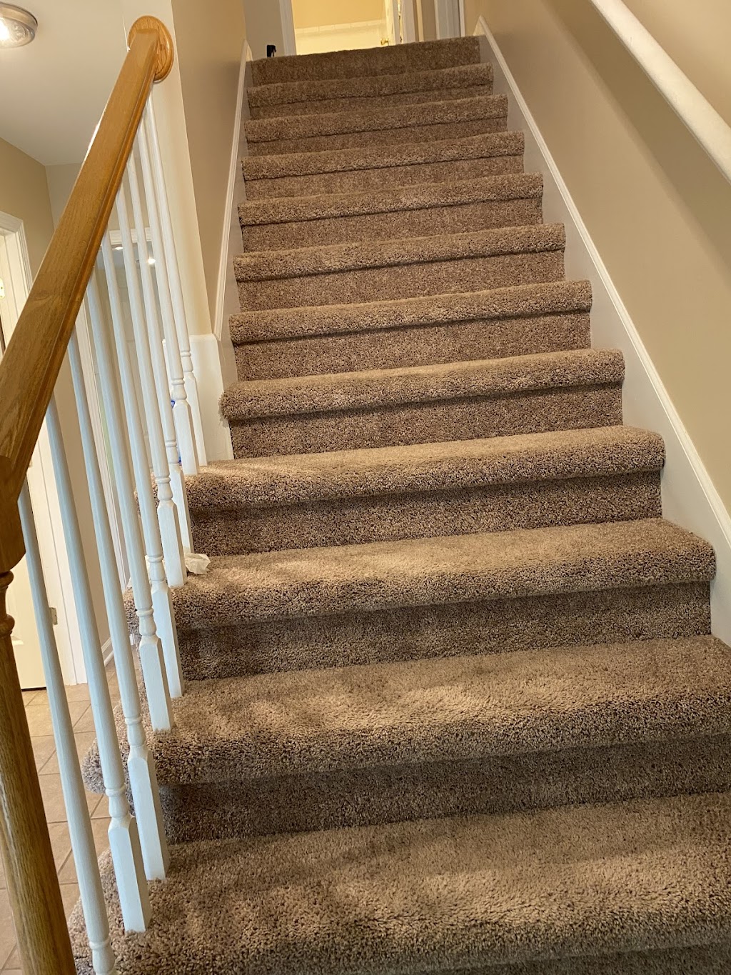 Pet Mess Express | 120 Washington St, Carlisle, KY 40311, USA | Phone: (808) 372-2685