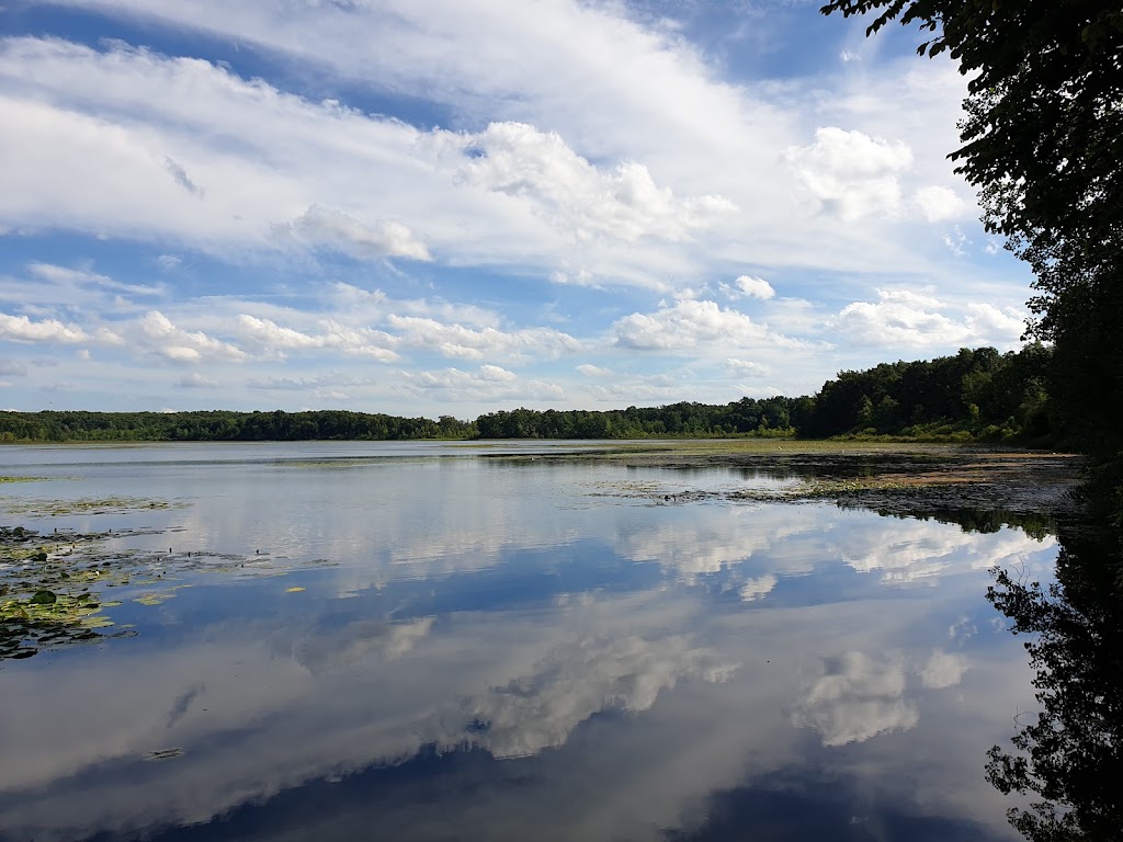 Gerald E Eddy Discovery Center | 17030 Bush Rd, Chelsea, MI 48118, USA | Phone: (734) 475-3170