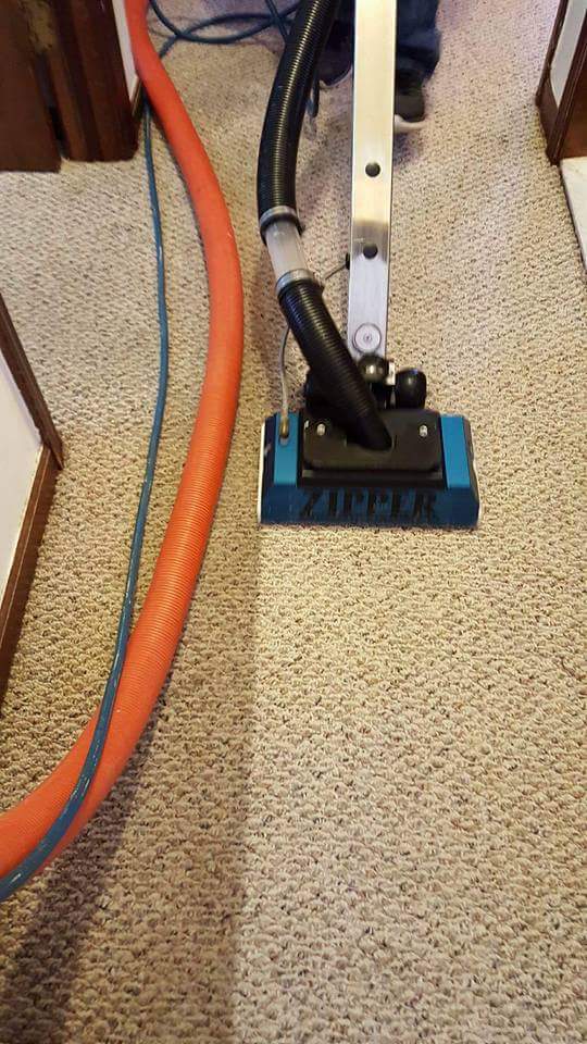Fiber*brite Carpet, Upholstery, Tile and Grout Cleaning Inc. | 24475 Palmetto Dr, Flat Rock, MI 48134, USA | Phone: (734) 783-0230