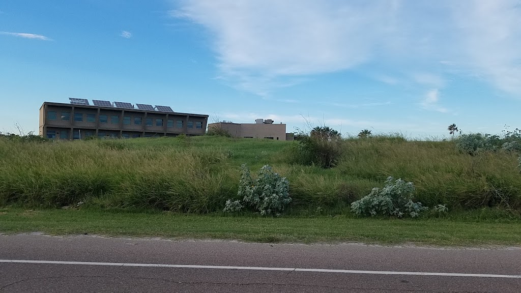 University of Texas, Marine Science Institute | 750 Channel View Dr, Port Aransas, TX 78373, USA | Phone: (361) 749-6711