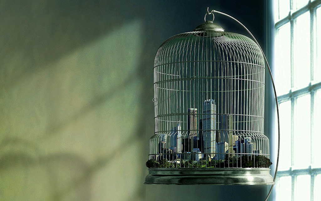 Nanwang de shike | 504 Rosalind Terrace, Locust Grove, GA 30248, USA | Phone: (678) 884-5923