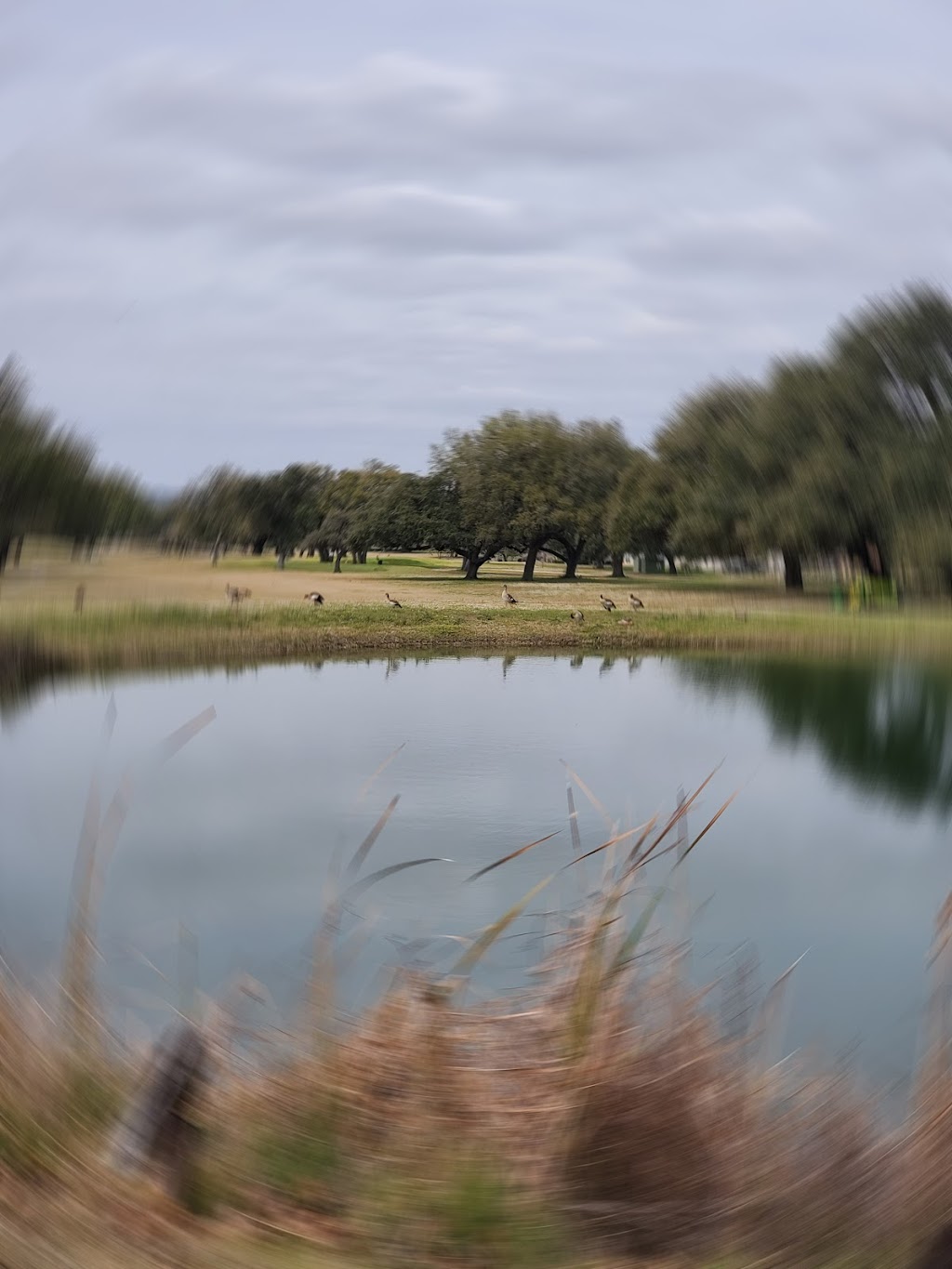 Devine Golf Course | 116 W Malone Dr, Devine, TX 78016, USA | Phone: (830) 665-9943