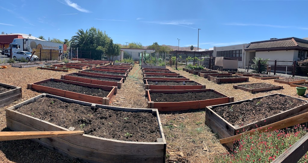 Ambrose Community Garden | 3105 Willow Pass Rd, Bay Point, CA 94565, USA | Phone: (925) 458-1601