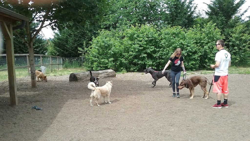 Newberg Dog Park | 1201 S Blaine St, Newberg, OR 97132, USA | Phone: (503) 209-9994