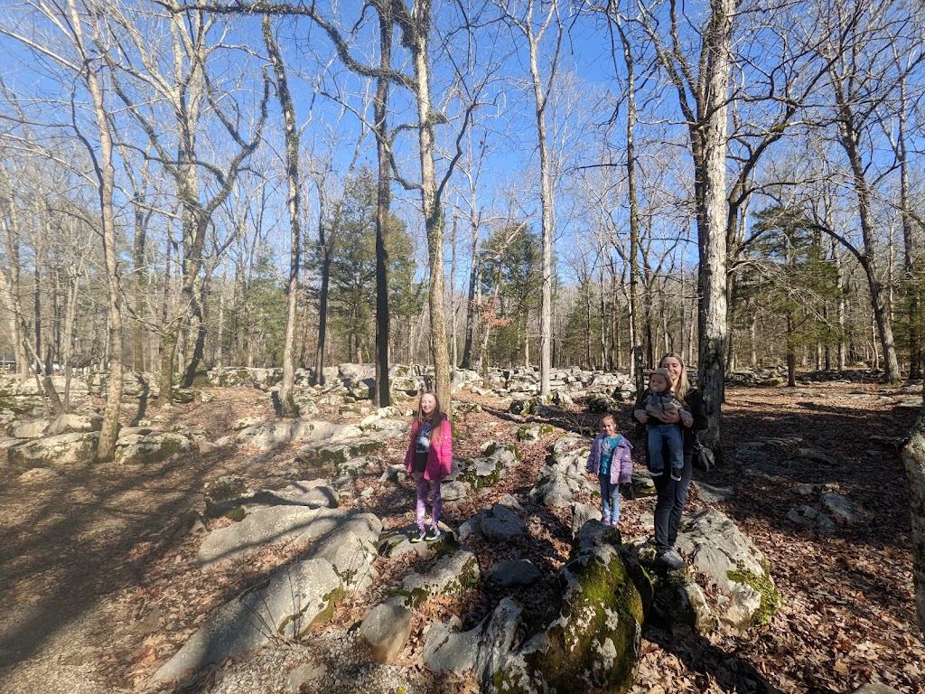 Rickwood Caverns State Park | 370 Rickwood Park Rd, Warrior, AL 35180, USA | Phone: (205) 647-9692