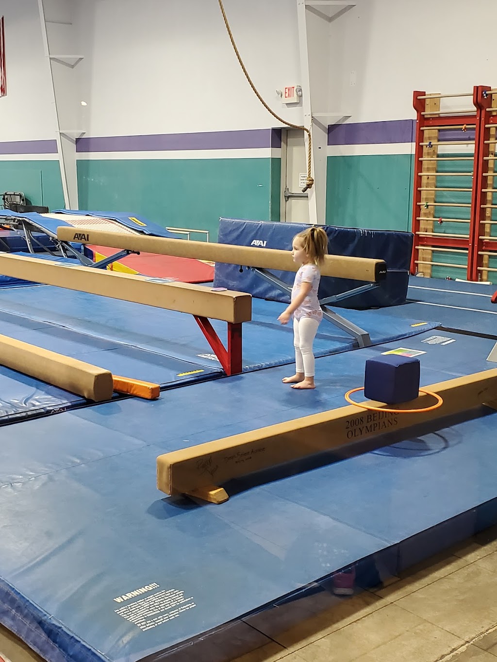 Barron Gymnastics | 5411 Jedmed Ct, St. Louis, MO 63129, USA | Phone: (314) 892-6909