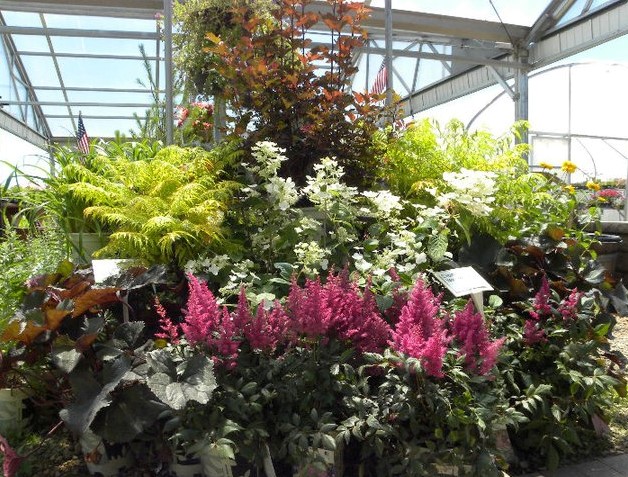 Northland Landscape Nursery | 29905 MN-65, Isanti, MN 55040, USA | Phone: (763) 444-6314