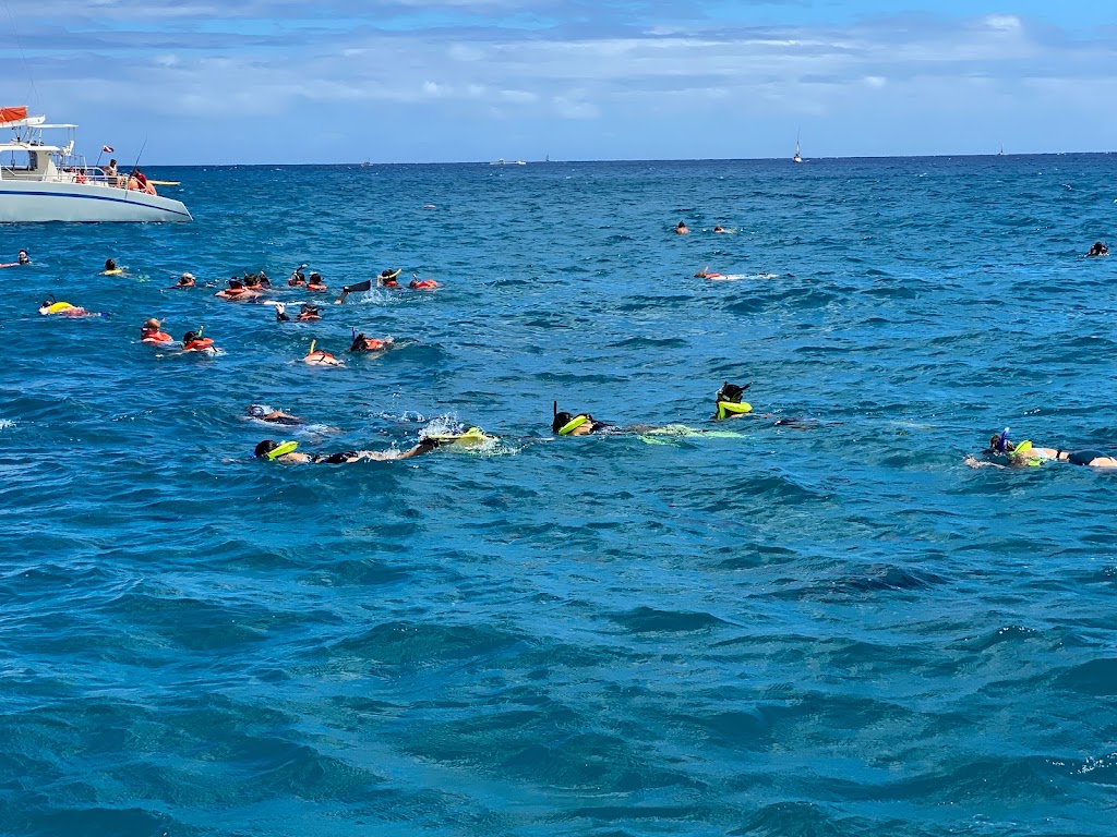 Honolulu snorkeling tour | 1125 Ala Moana blvd Slip A5, Honolulu, HI 96814, USA | Phone: (808) 224-7857