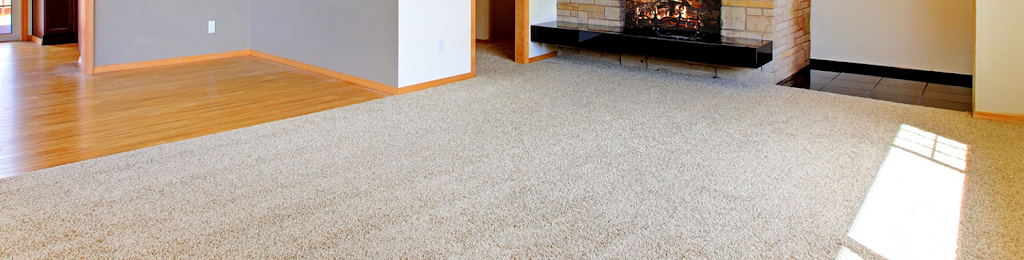 TW PRO Carpet & Upholstery Cleaning Services | 5911 Applewood Ln, Raleigh, NC 27609, USA | Phone: (919) 360-7536