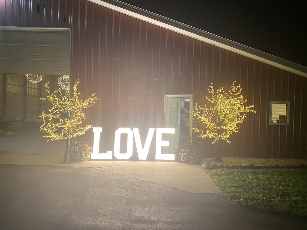 Zoros Christmas Lights | 17492 Park St, Livonia, MI 48152, USA | Phone: (248) 408-6393