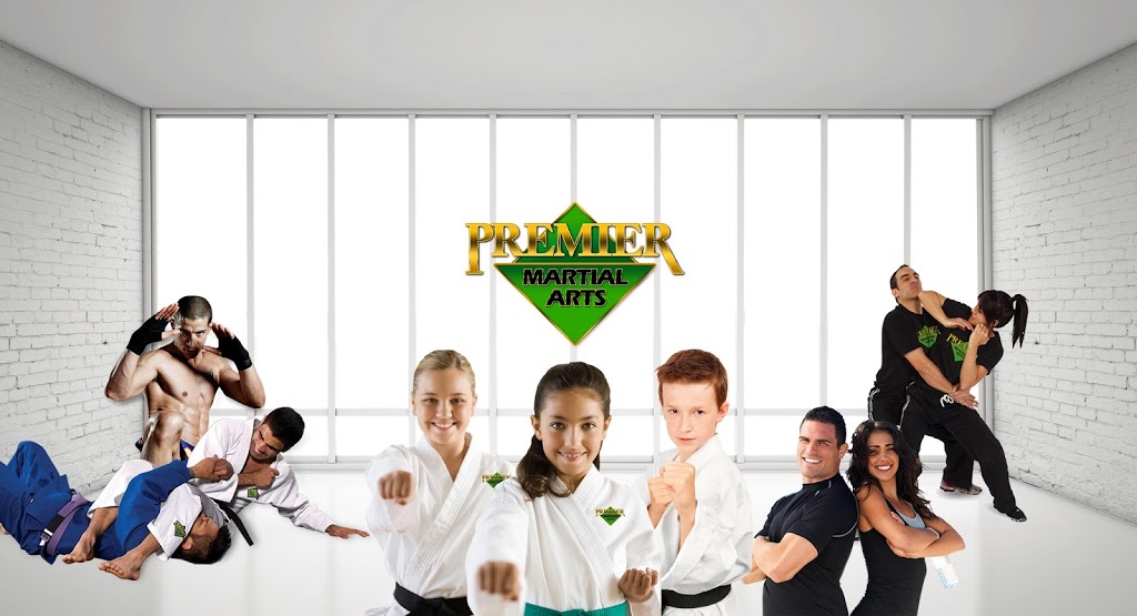 Premier Martial Arts Grand Prairie | 5145 Lake Ridge Pkwy Suite #111, Grand Prairie, TX 75052, USA | Phone: (469) 610-5455