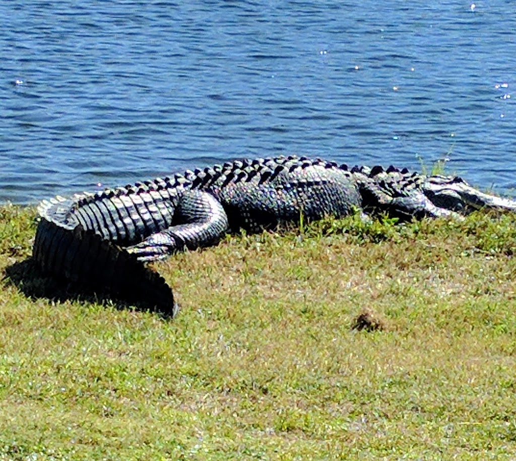 The Club at River Wilderness | 2250 Wilderness Blvd W, Parrish, FL 34219, USA | Phone: (941) 776-2691