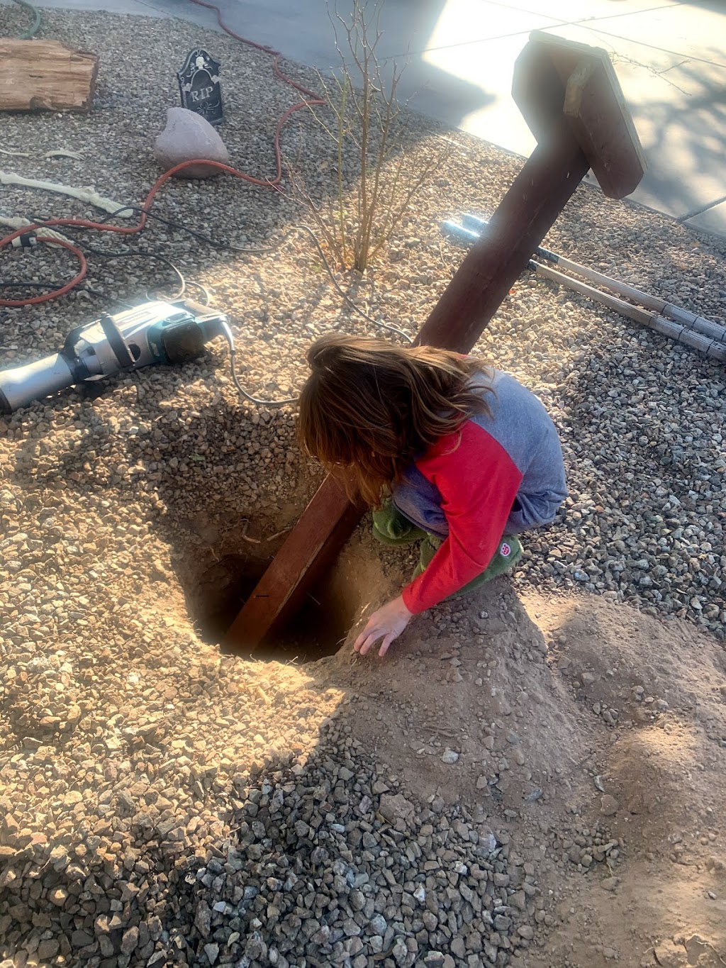 Curly Bs Little Free Library | 18013 W Vogel Ave, Waddell, AZ 85355, USA | Phone: (602) 730-0736