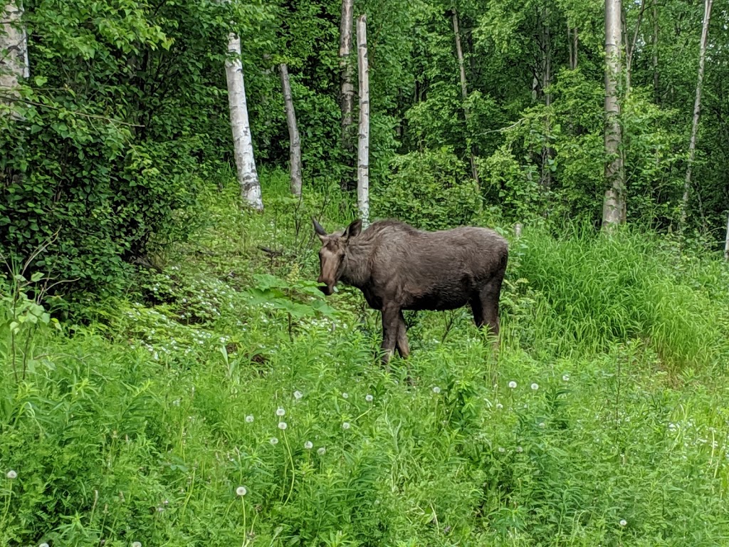 Russian Jack Springs Park North | 801 Pine St, Anchorage, AK 99508, USA | Phone: (907) 343-4355