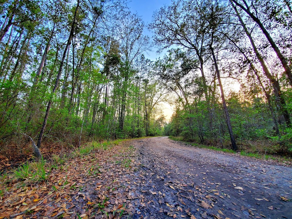 Four Creeks State Forest | 450946 FL-200, Callahan, FL 32011, USA | Phone: (904) 845-4933