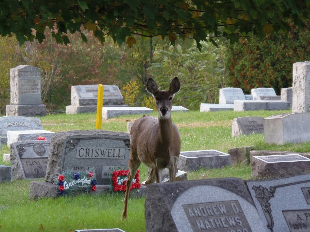 Mount Rose Cemetery | 2 North, Jefferson Ave, Moundsville, WV 26041, USA | Phone: (304) 845-5559