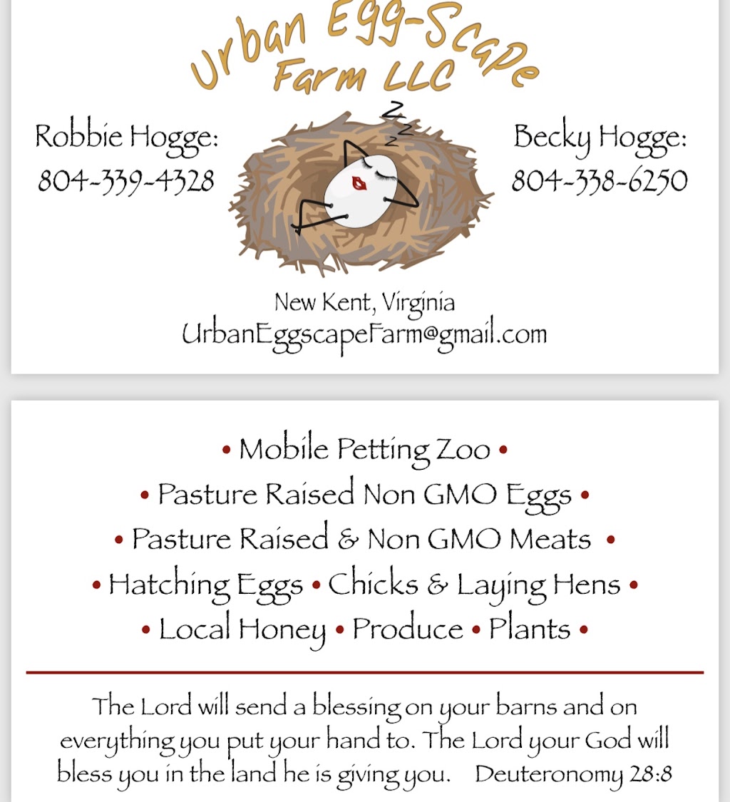 Urban Egg-Scape Farm, LLC | 4557 Wahrani Ridge Rd, Lanexa, VA 23089, USA | Phone: (804) 339-4328