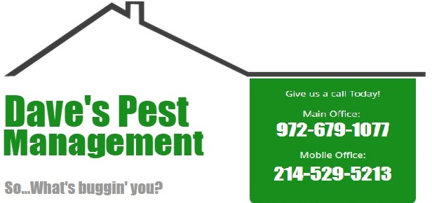 Daves Pest Management | 7101 Chaucer Dr, Denton, TX 76210, USA | Phone: (972) 679-1077