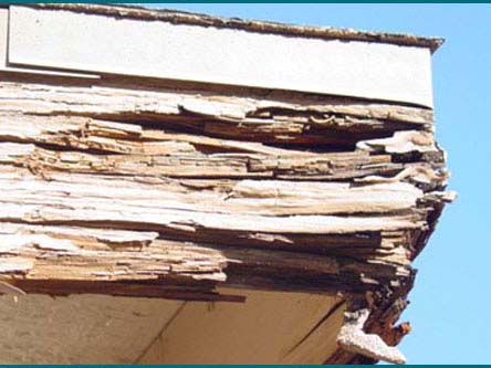 Aaron Painting and Construction | 3511 W Union Rd, Millington, TN 38053, USA | Phone: (901) 337-6828