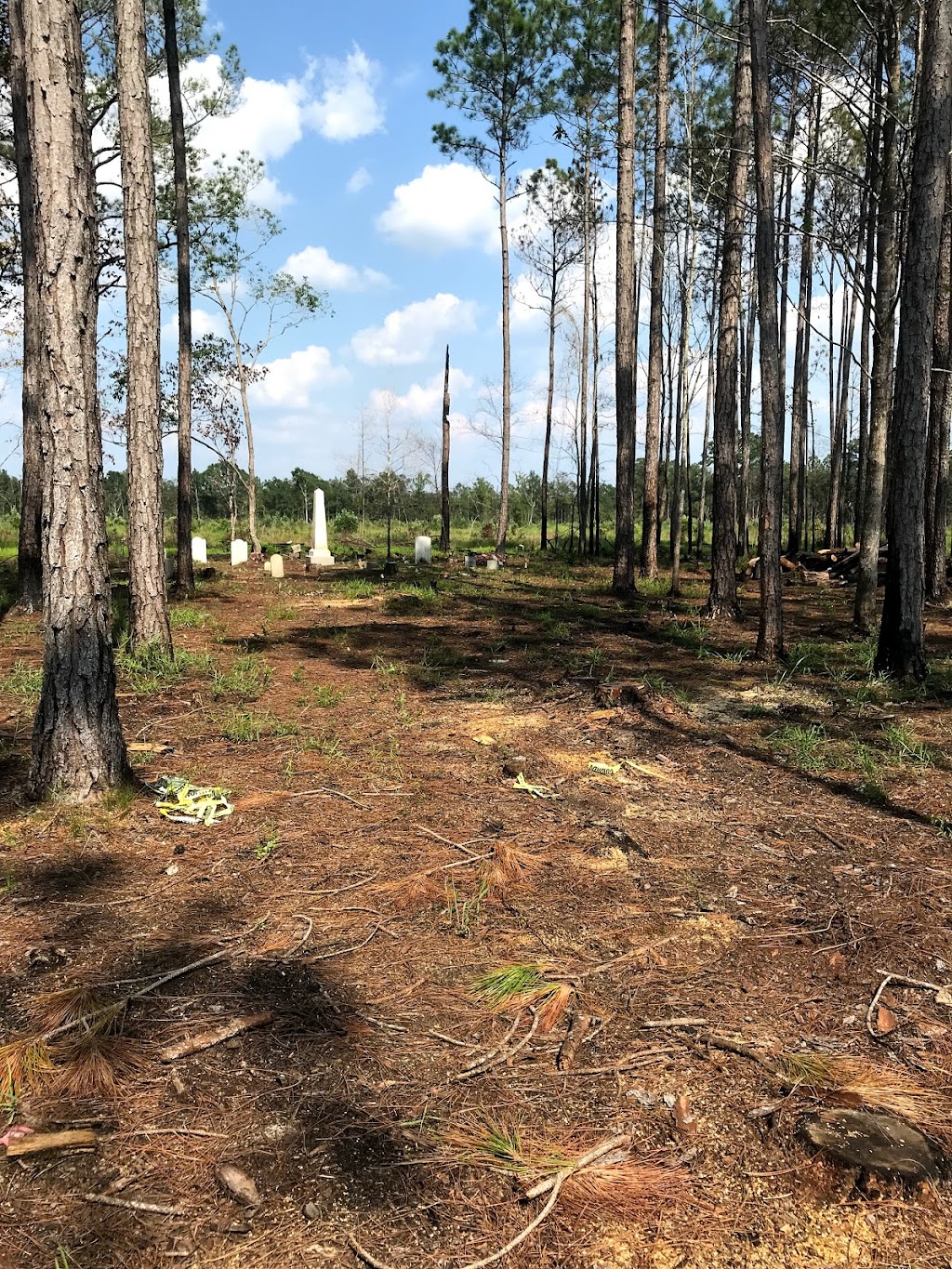 Spring Branch Church Cemetery | Old Gainesville - Pearlington Rd, Pearlington, MS 39572 | Phone: (228) 216-3776