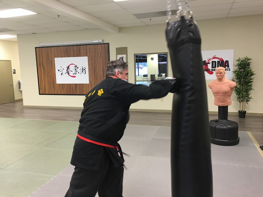 Dynamic Martial Arts Academy HQ | United States, Georgia, Buford, Pucketts Mill Rd, Suite 500 & 600 | Phone: (470) 738-1588