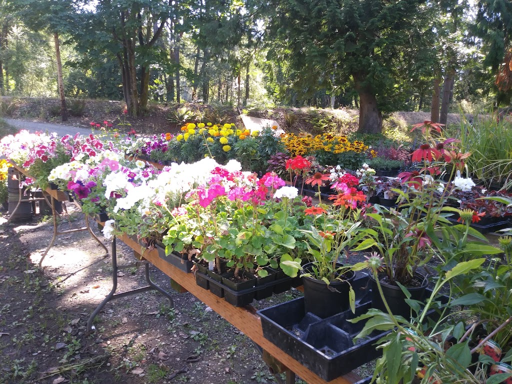 Raft Island Roses | 7201 Rosedale St NW, Gig Harbor, WA 98335, USA | Phone: (253) 509-8409