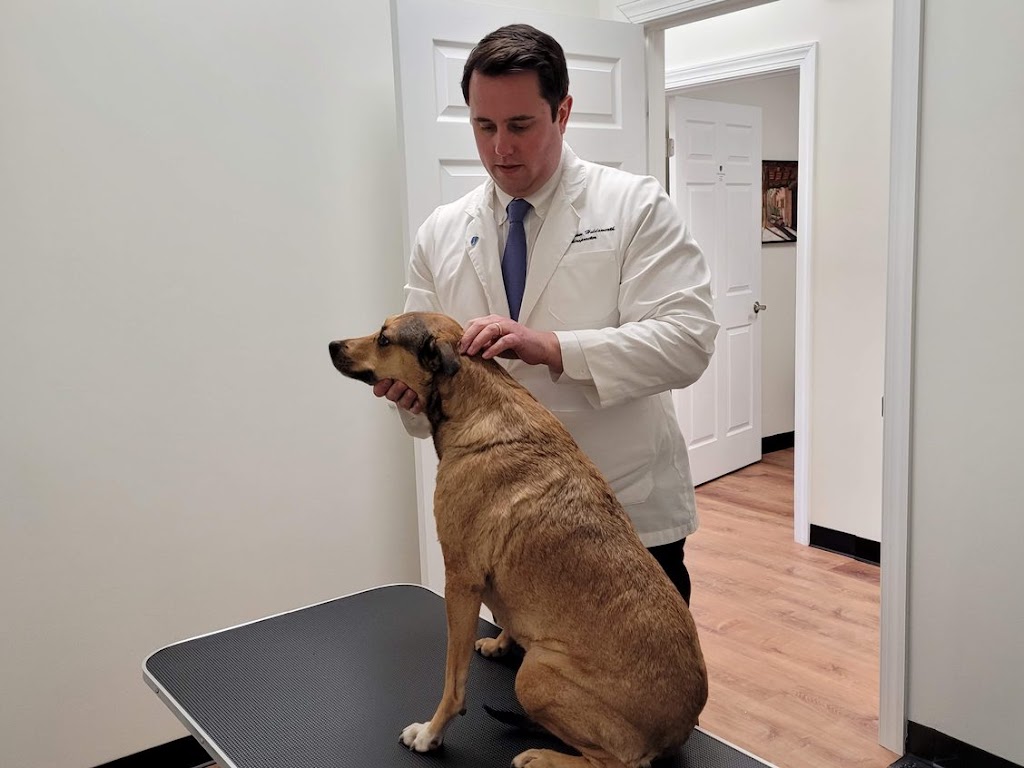 Canine Chiropractic Relief Care | 17 US-206, Stanhope, NJ 07874, USA | Phone: (973) 579-1921