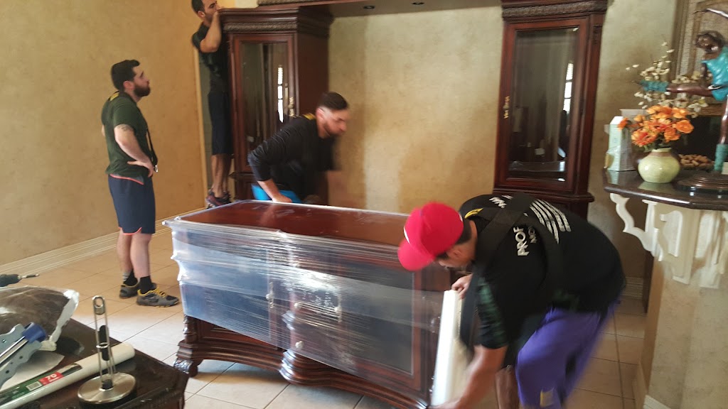 Professional Moving Preppers -Movers - Moving Company | 1917 Woodland Dr, Laredo, TX 78045, USA | Phone: (956) 235-7112