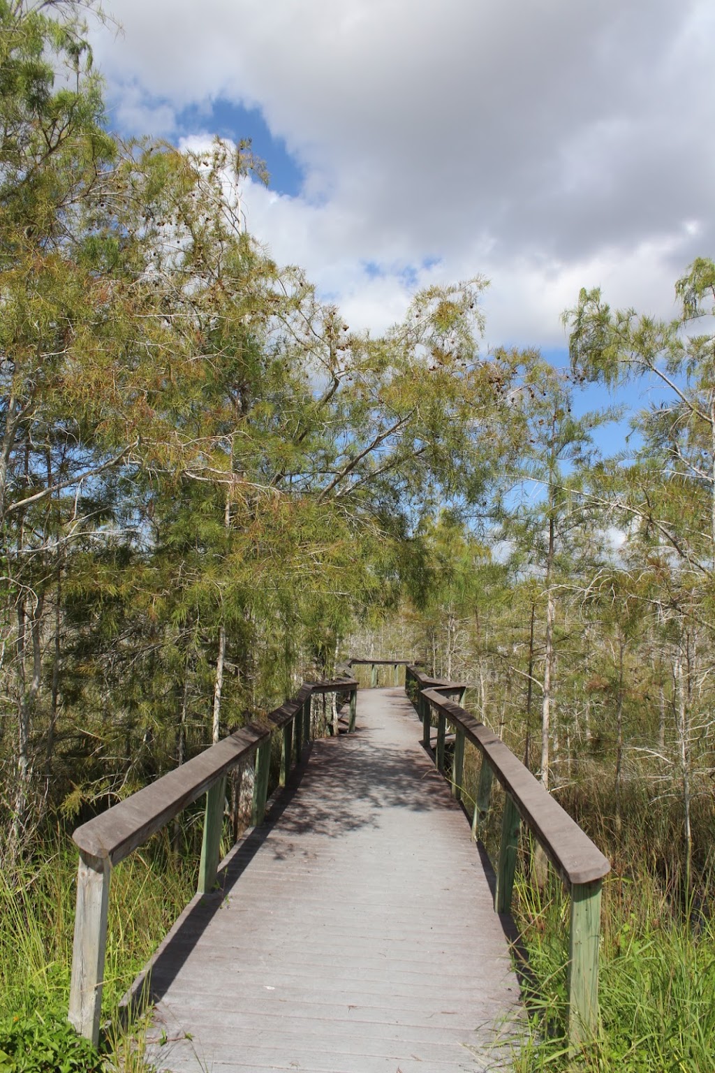 Florida National Parks Association | 10 Parachute Ky #51, Homestead, FL 33034, USA | Phone: (305) 247-1216