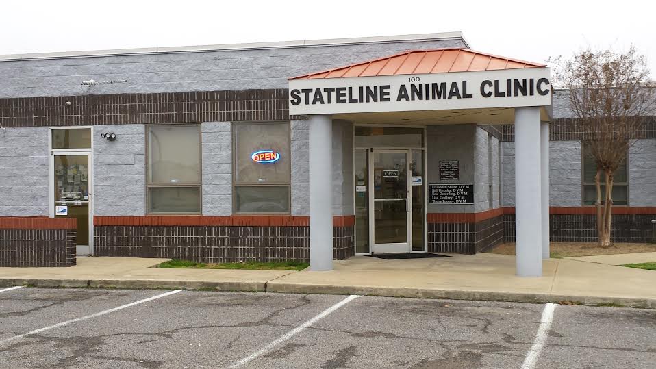 Stateline Animal Clinic | 100 Guthrie Dr, Southaven, MS 38671 | Phone: (662) 393-4280