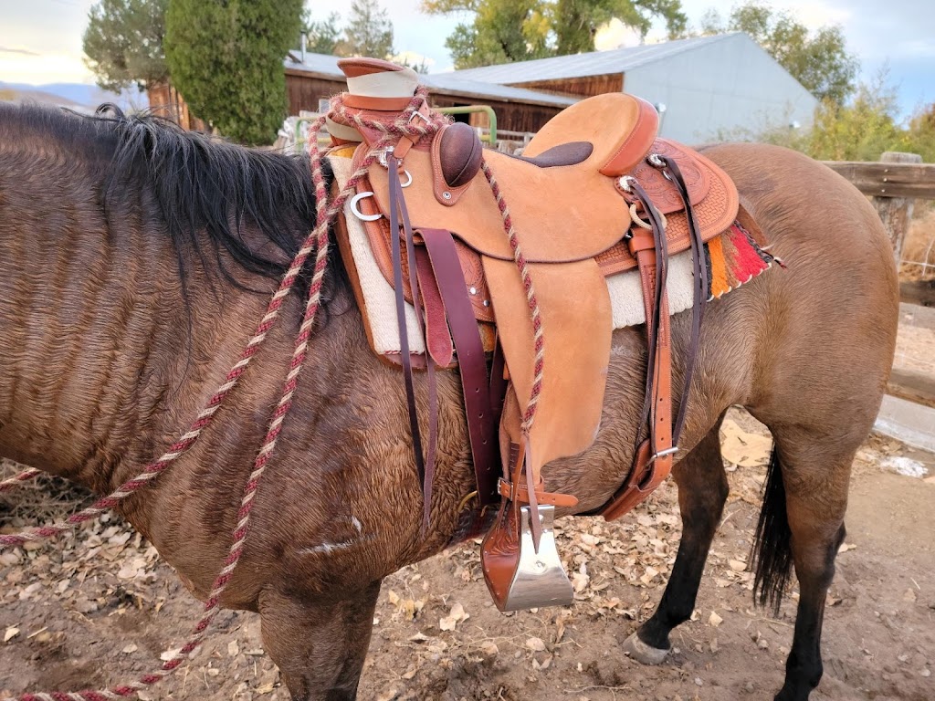 Desert Well Saddlery | 8215 Scenic Ave, Silver Springs, NV 89429, USA | Phone: (775) 291-0615