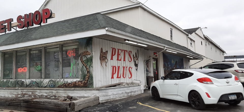 Pets Plus-Reptiles & Exotic | 421 West Ave, Lockport, NY 14094, USA | Phone: (716) 433-0460