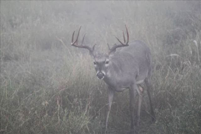 La Leyenda Ranch | Miles Rd, Tilden, TX 78072, USA | Phone: (713) 202-5348