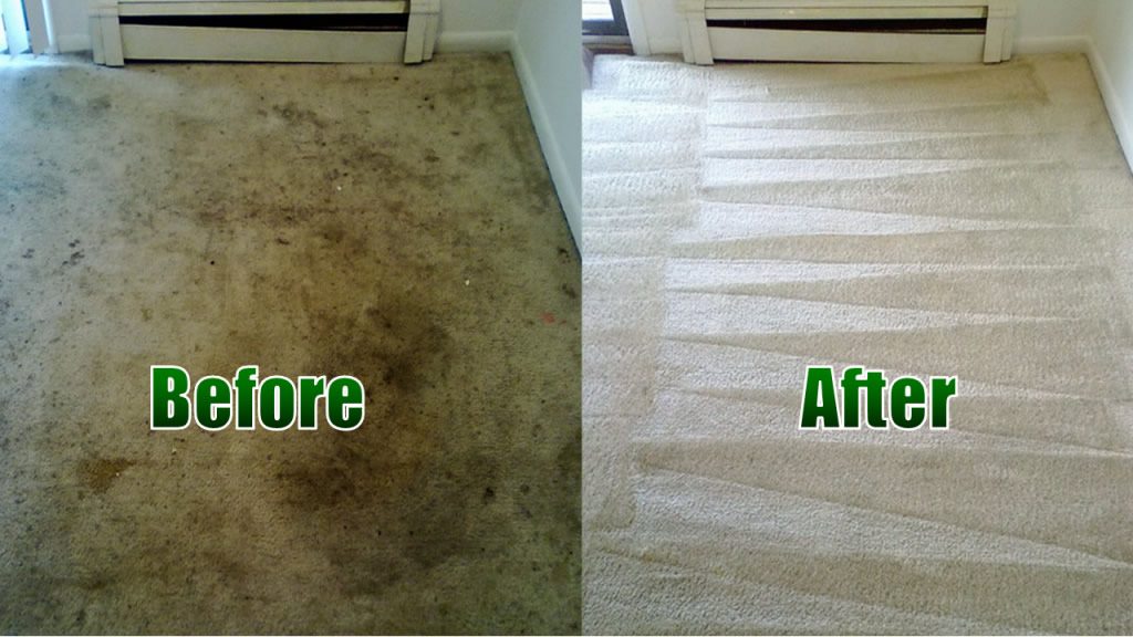 Green Carpet Cleaning Katy | 6714 Abilene Dr, Katy, TX 77493, USA | Phone: (281) 984-6778