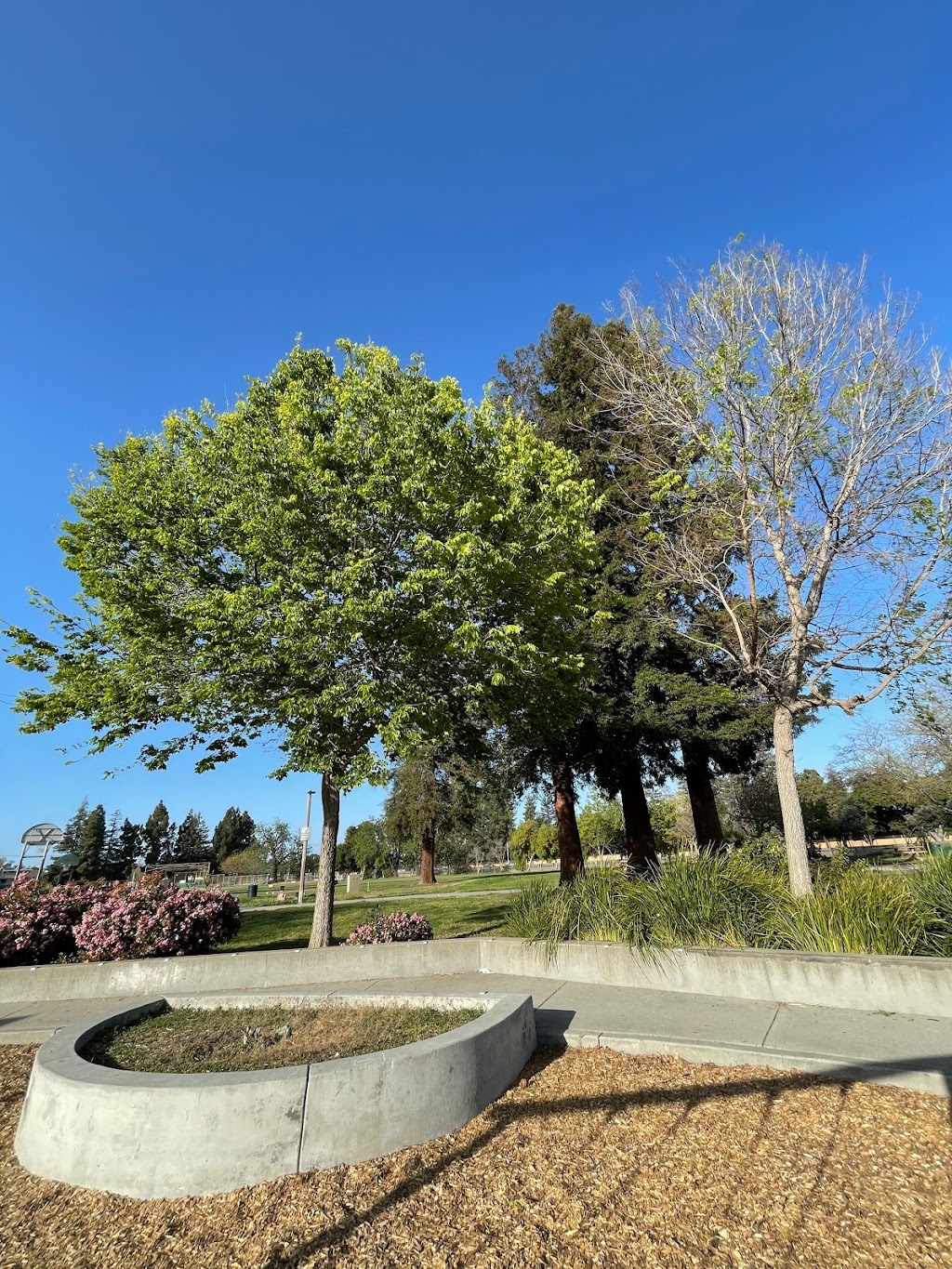 Starbird Park | Boynton Ave & Williams road, San Jose, CA 95117, USA | Phone: (408) 535-3570