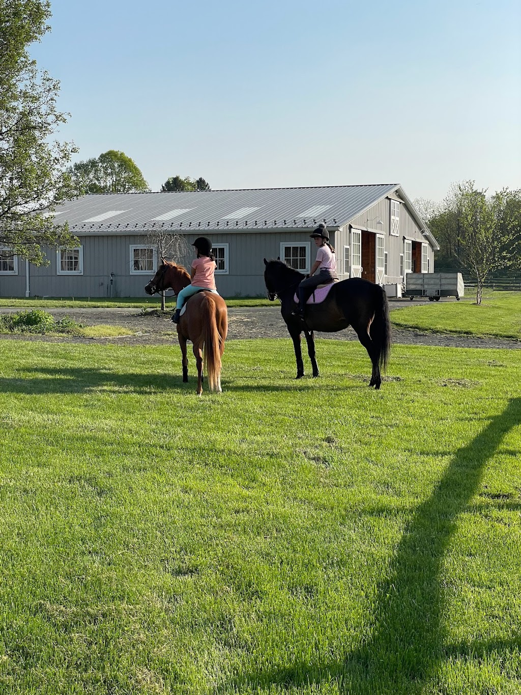 La Bona Vivo Equestrian | La Bona Vivo, LLC, 190 W Mill Rd, Long Valley, NJ 07853, USA | Phone: (207) 692-3340