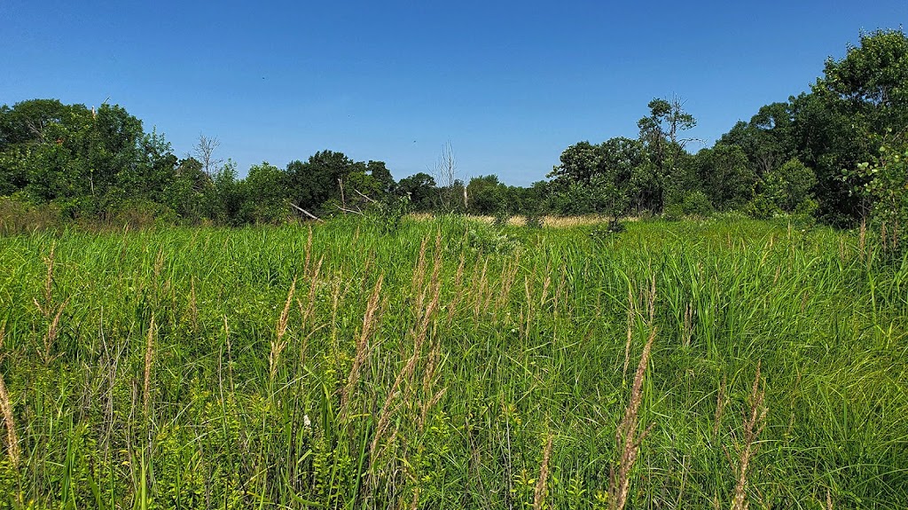 Pine Island Savanna State Natural Area | Levee Rd, Baraboo, WI 53913, USA | Phone: (888) 936-7463