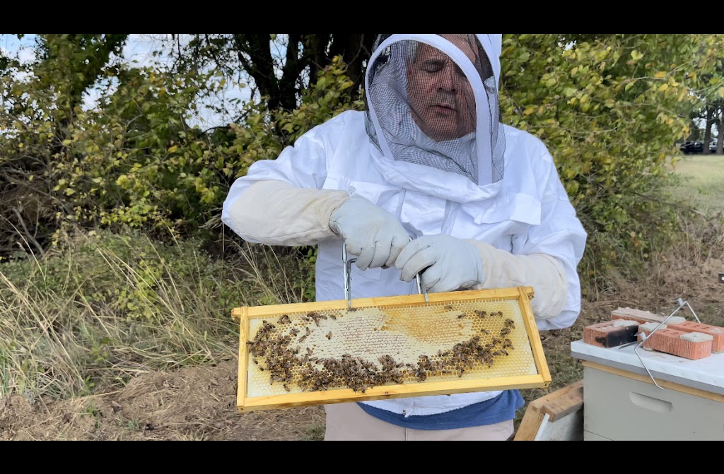 Tru Bee Removal | 8700 Banner Rd, Slaughterville, OK 73051, USA | Phone: (405) 830-0151