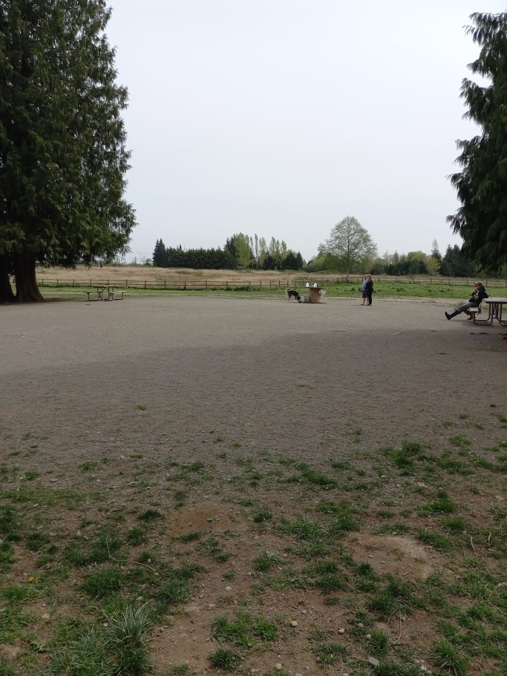 Cavalero Hill Dog Park | 7708 20th St SE, Lake Stevens, WA 98258, USA | Phone: (425) 388-6600