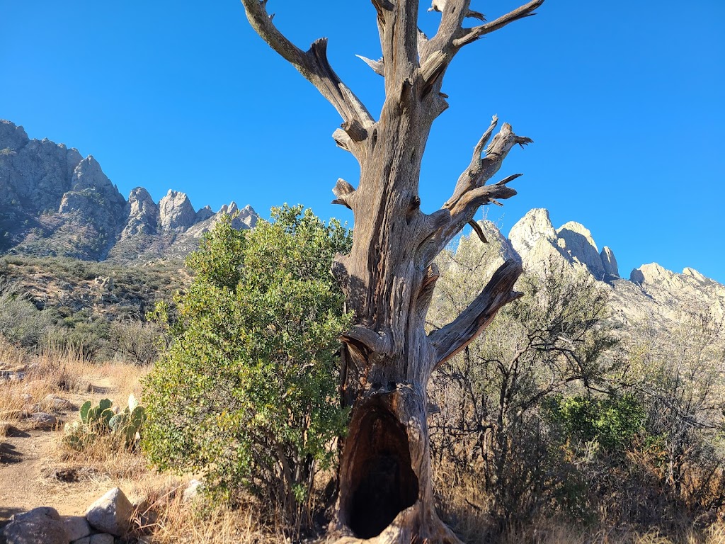 Aguirre Spring Campground | Aguirre Springs Rd, Las Cruces, NM 88011, USA | Phone: (575) 525-4300